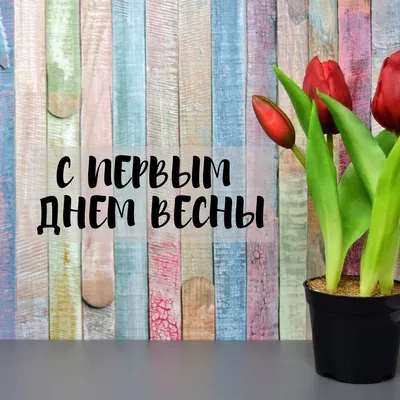 Весна идёт, весне дорогу..., ГБОУ Школа № 967, Москва