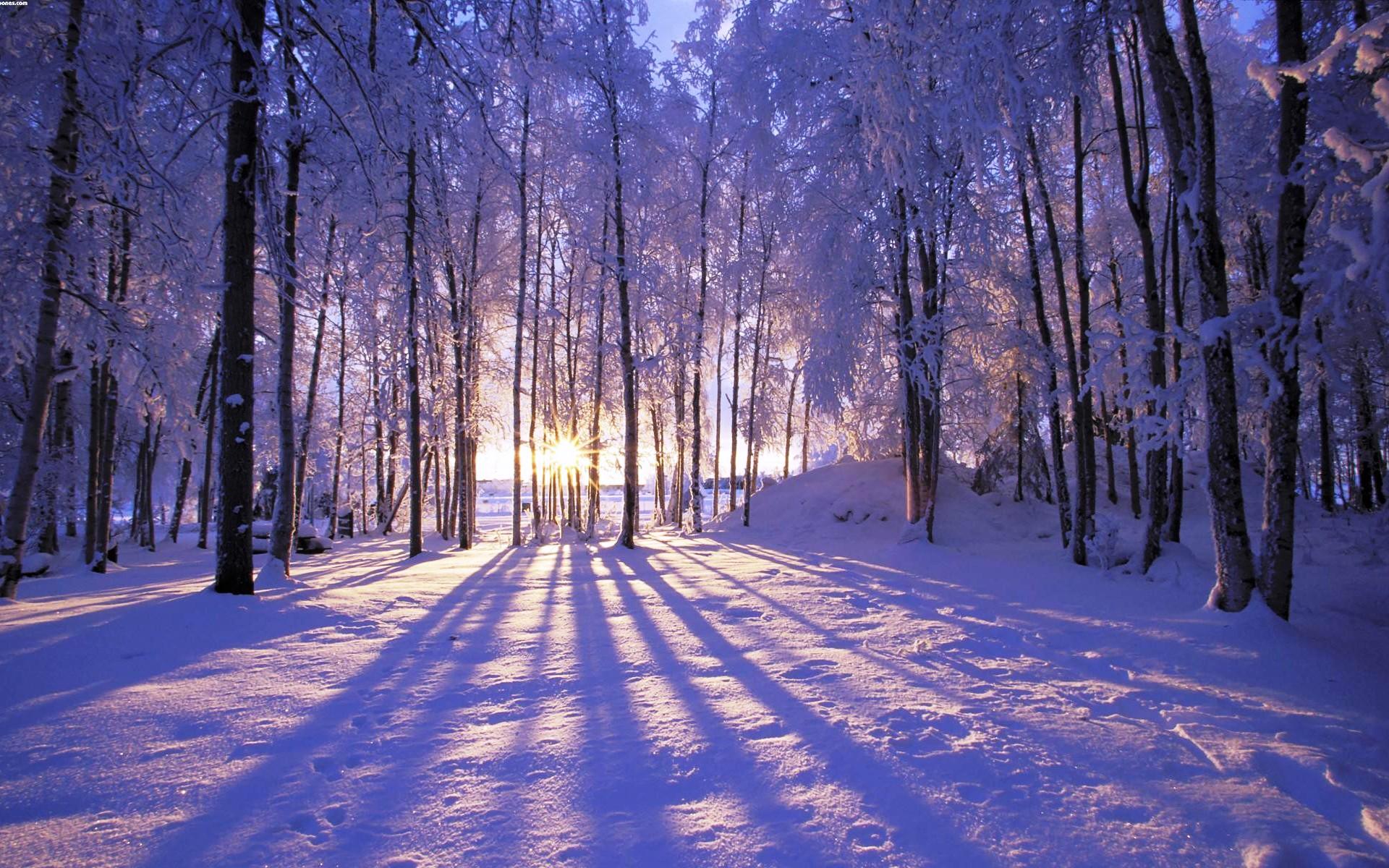 Обои восход солнца, зима, снег, природа, природный ландшафт - картинка на  рабочий стол и фото бесплатно
