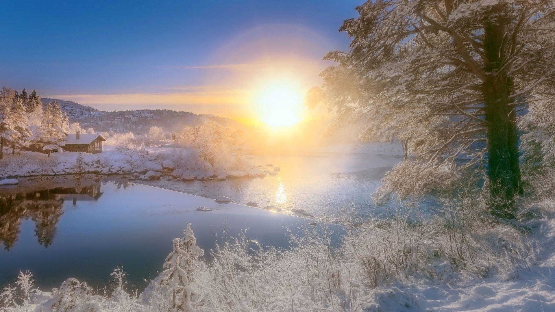 восход солнца снежный лес фон, фон снежного леса, восход солнца зимой,  зимний лес фон картинки и Фото для бесплатной загрузки