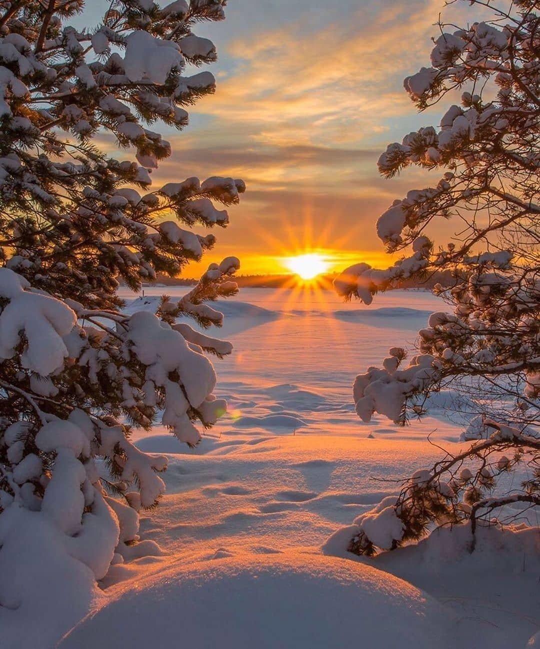 восход солнца зимнее поле иллюстрация фон, Восход, зима, поле фон картинки  и Фото для бесплатной загрузки