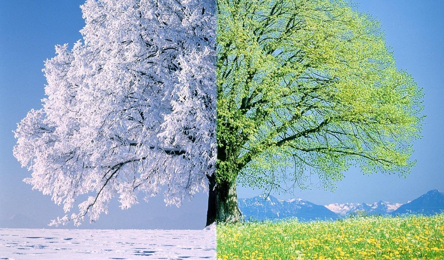 Встреча зимы и весны 2 стоковое изображение. изображение насчитывающей  грациозно - 71017311