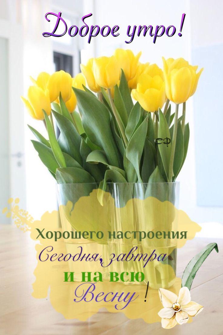 Ну, а завтра весна! (Инна Стекачева) / Стихи.ру