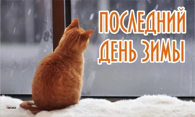 Вышитая картина \"Завтра будет зима\" в интернет-магазине Ярмарка Мастеров по  цене 27000 ₽ – TVYX0RU | Картины, Новосибирск - доставка по России