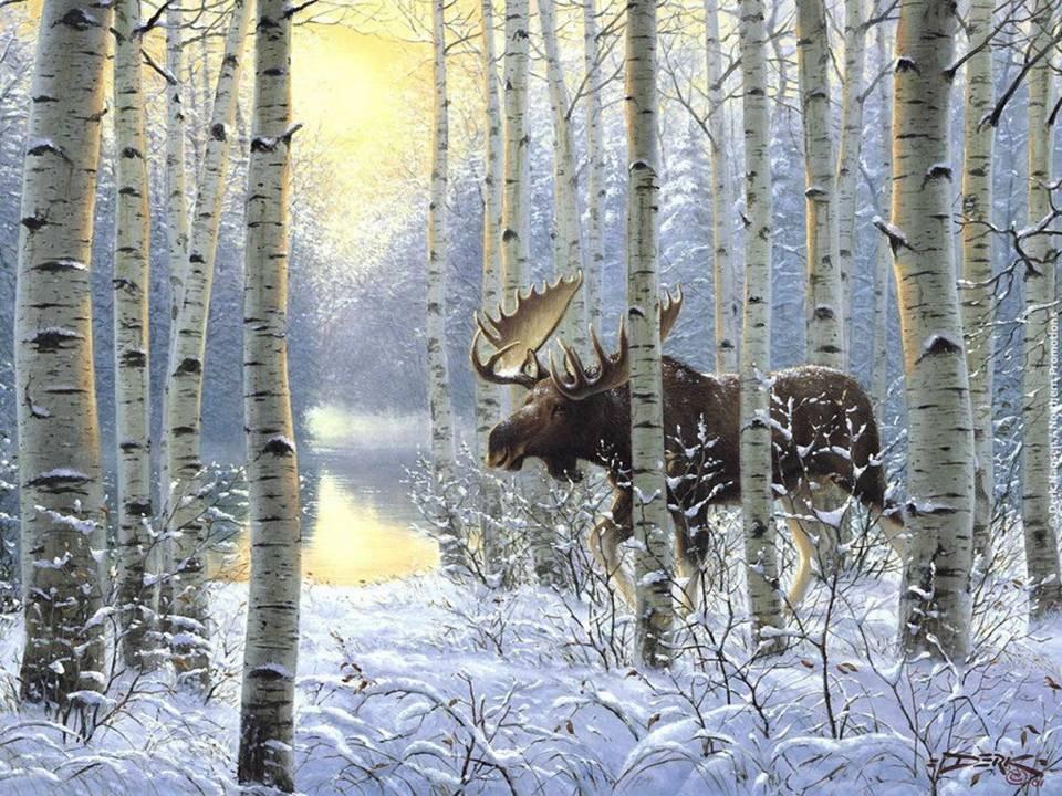 Алмазная мозаика на подрамнике 40*50 Олень зимой в лесу/ Картины стразами  животные - купить с доставкой по выгодным ценам в интернет-магазине OZON  (1288929226)