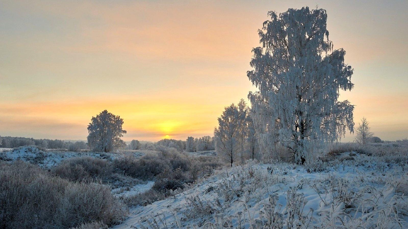 Утренняя Зима Без Снега Пейзаж — стоковые фотографии и другие картинки Без  людей - Без людей, Горизонтальный, Живописный - iStock