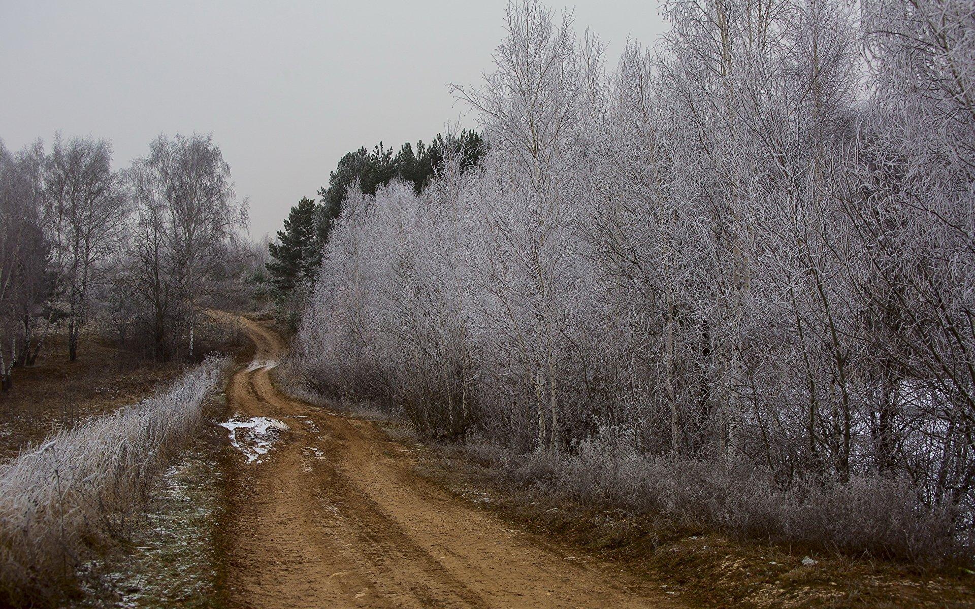 Учёный рассказал, когда зимы без снега станут в России нормой — Ferra.ru