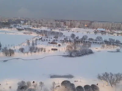 70 кадров зимы на Соколе. Москва без снега, но под дождём. Часть первая