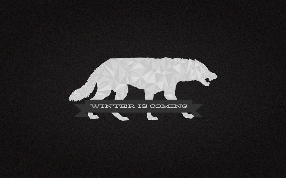 Обои на рабочий стол Белый волк и фраза Winter is Coming / Зима близко,  сериал Game of Thrones / Игра престолов, обои для рабочего стола, скачать  обои, обои бесплатно