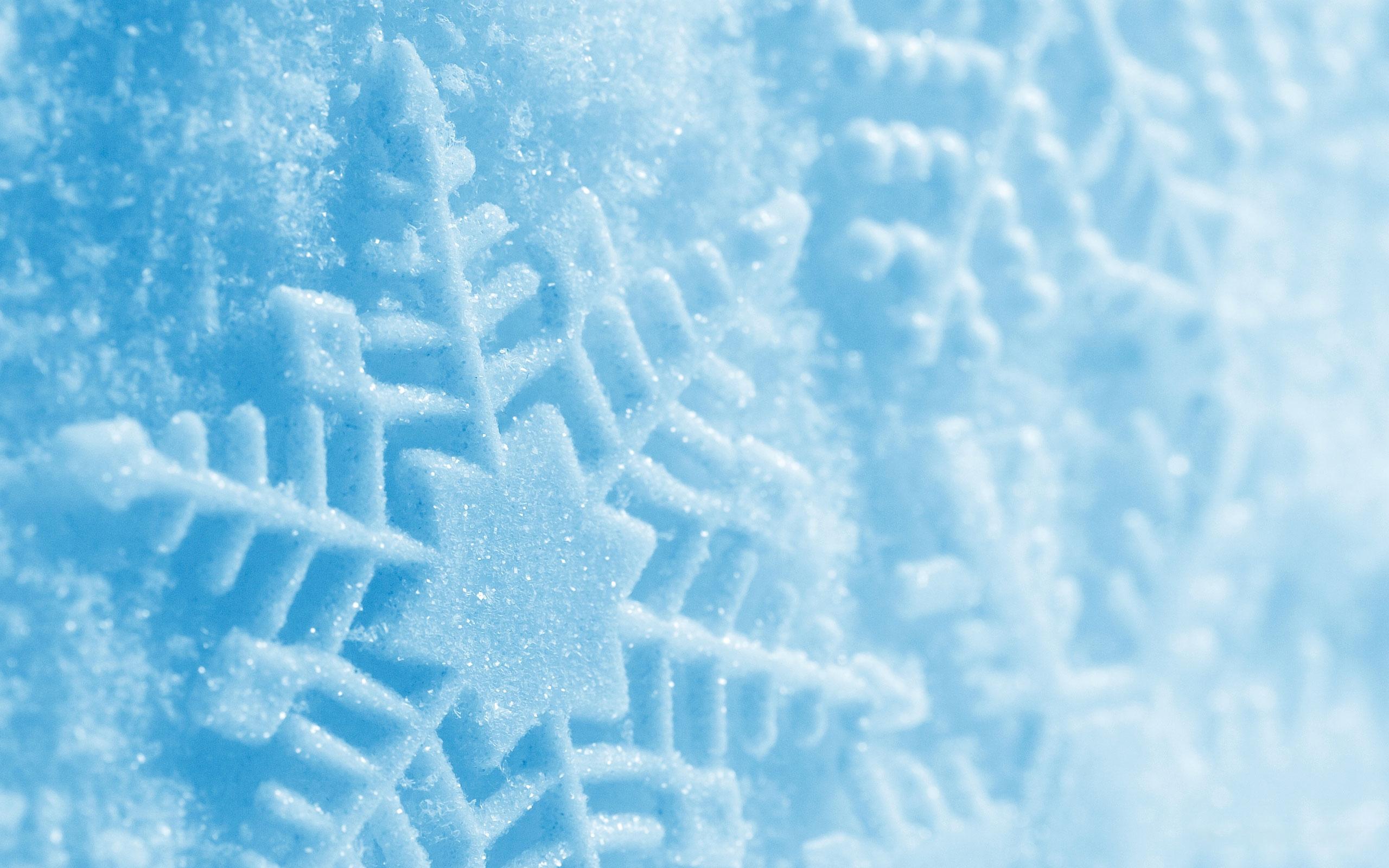 Wallpaper Winter, Scentsy Best in Snow, Snow, Good, Snow Storm, Background  - Download Free Image