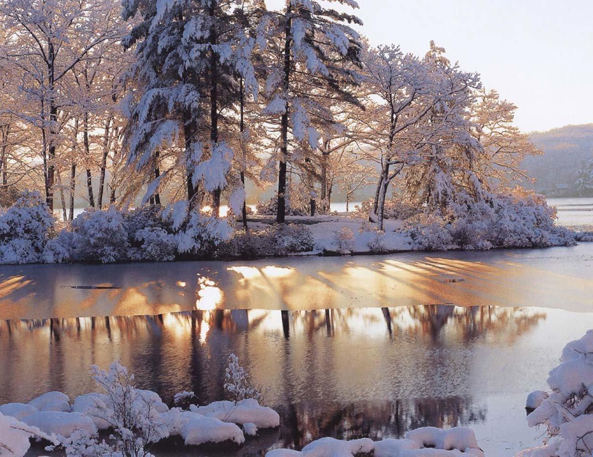 Зима природа декабрь (57 фото) - 57 фото