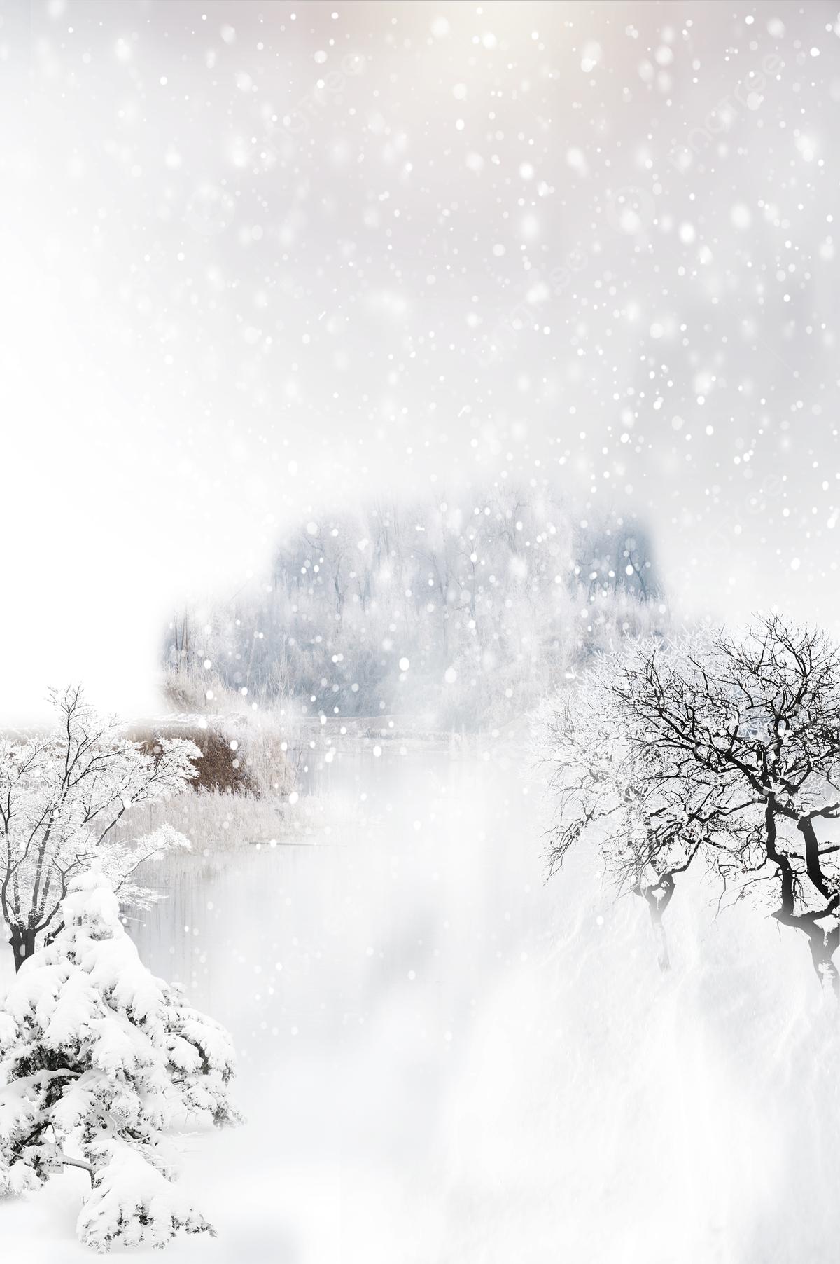 Зима Снег Декабрь - Бесплатное фото на Pixabay - Pixabay