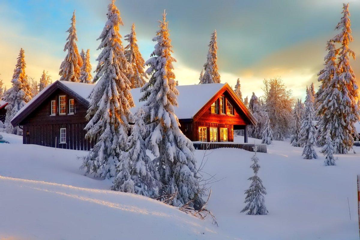 Домик в лесу Polar Home