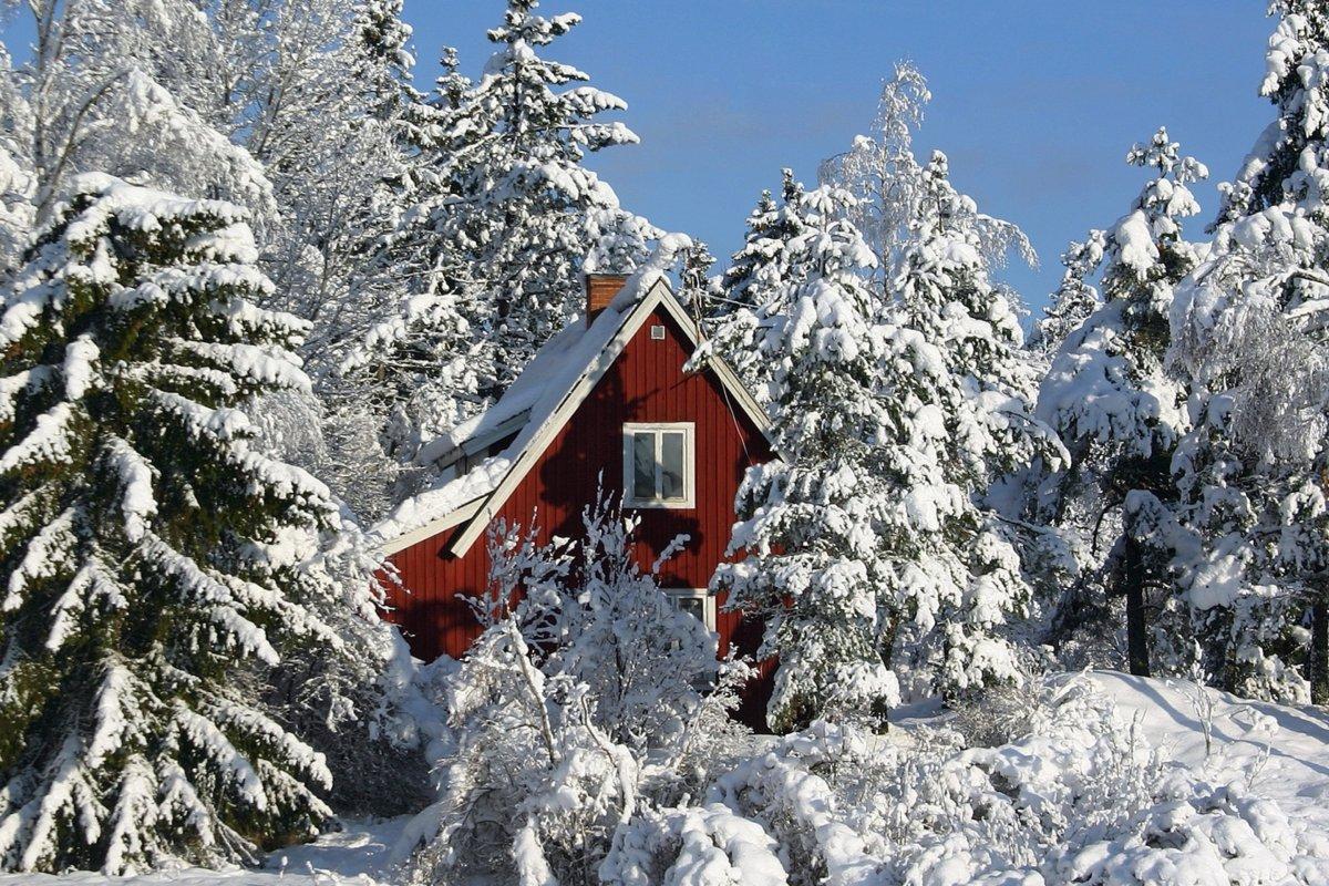 Дом в лесу у озера зимой - 77 фото