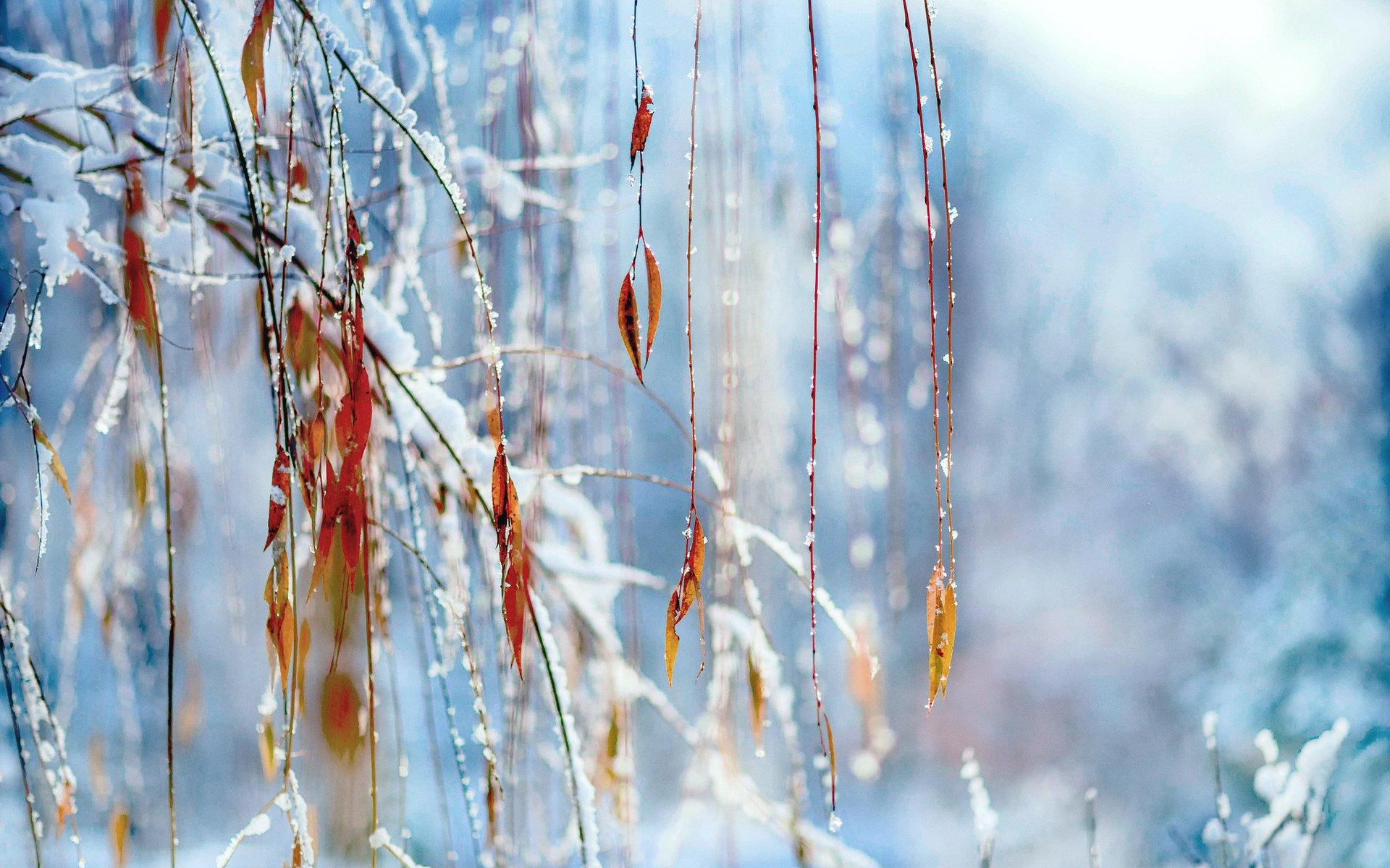 Пин от пользователя Светлана на доске С зимним утром! | Зимние картинки,  Пейзажи, Живописные пейзажи
