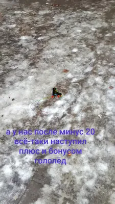 А в Москве уже зима. Жителям столицы пообещали дожди с мокрым снегом