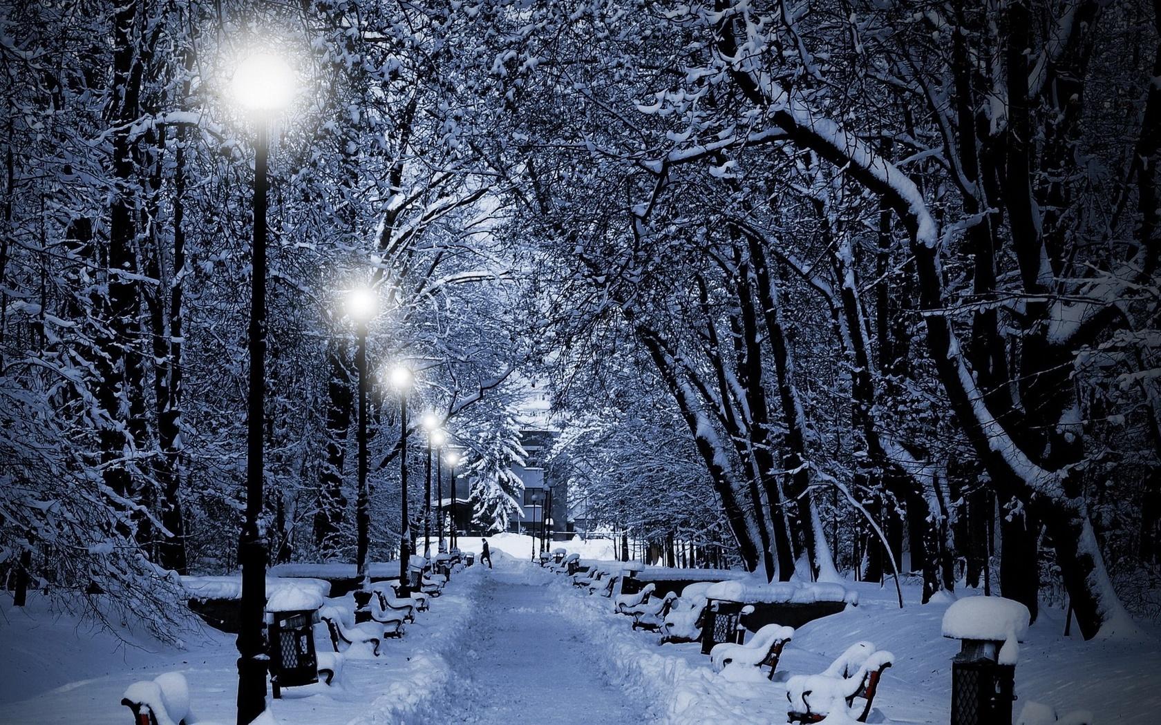 Скачать обои ночь, деревья, фонари, снег, зима разрешение 1920x1200 #80