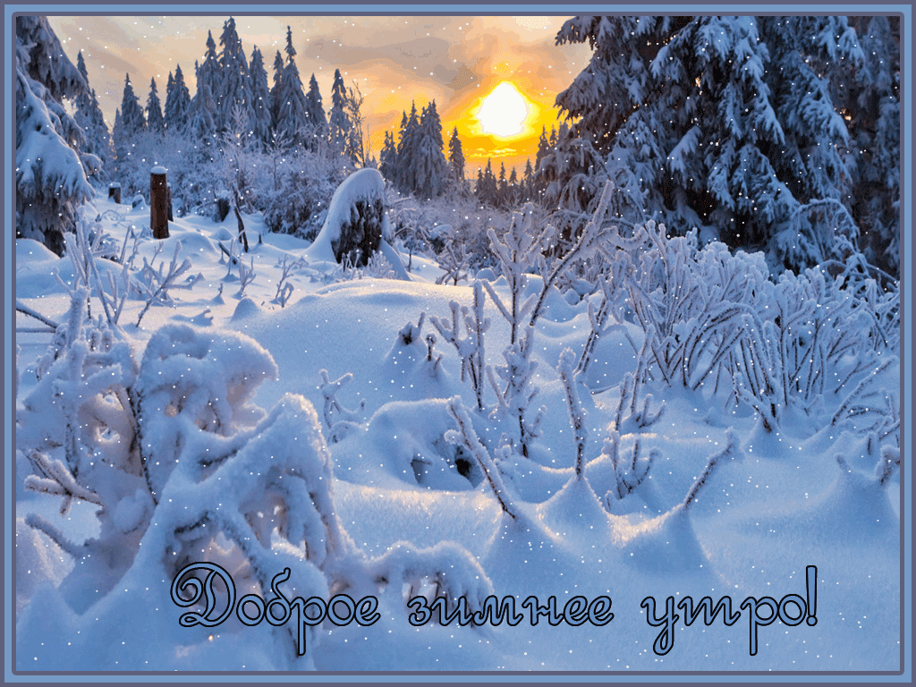 Зима ! | Милые открытки, Доброе утро, Поздравительные открытки