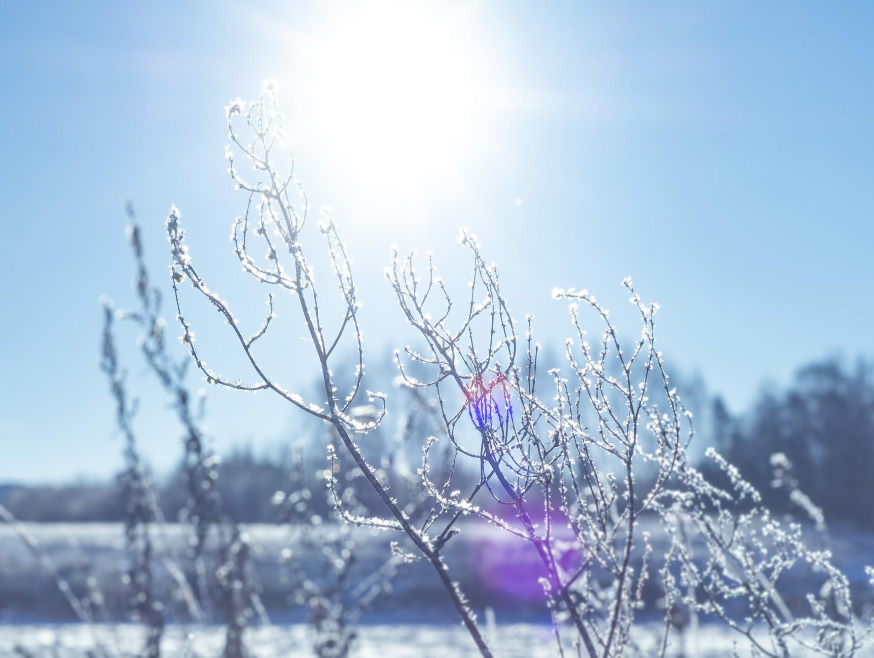 Картинки Природа, зима, солнце, горы, дерево, снег - обои 1920x1080,  картинка №31370
