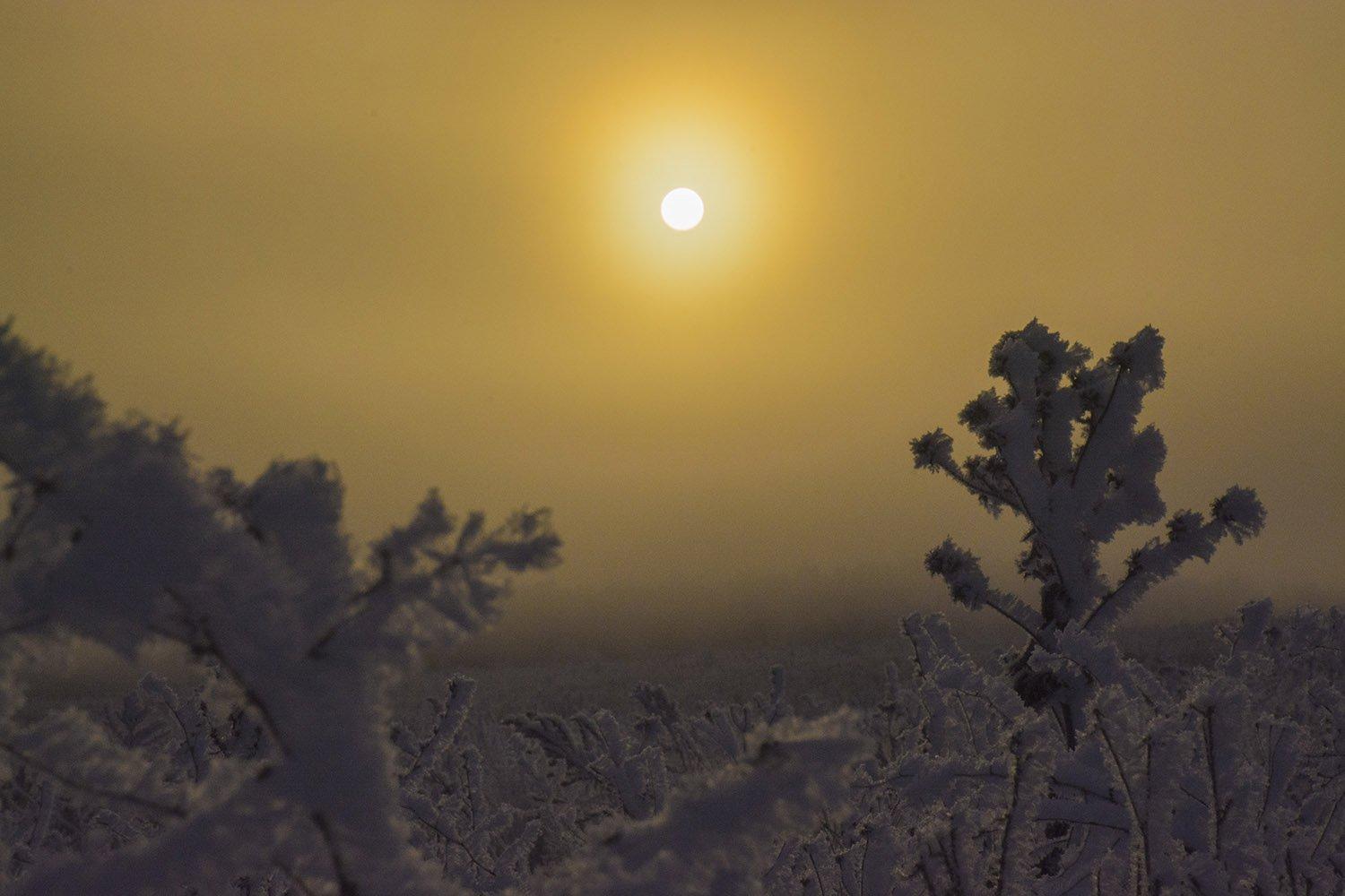 Бесплатное изображение: Солнечный день, солнце, зима, снег