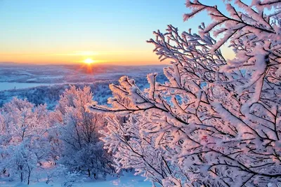 Русская зима в январь стоковое изображение. изображение насчитывающей  ландшафт - 28929743