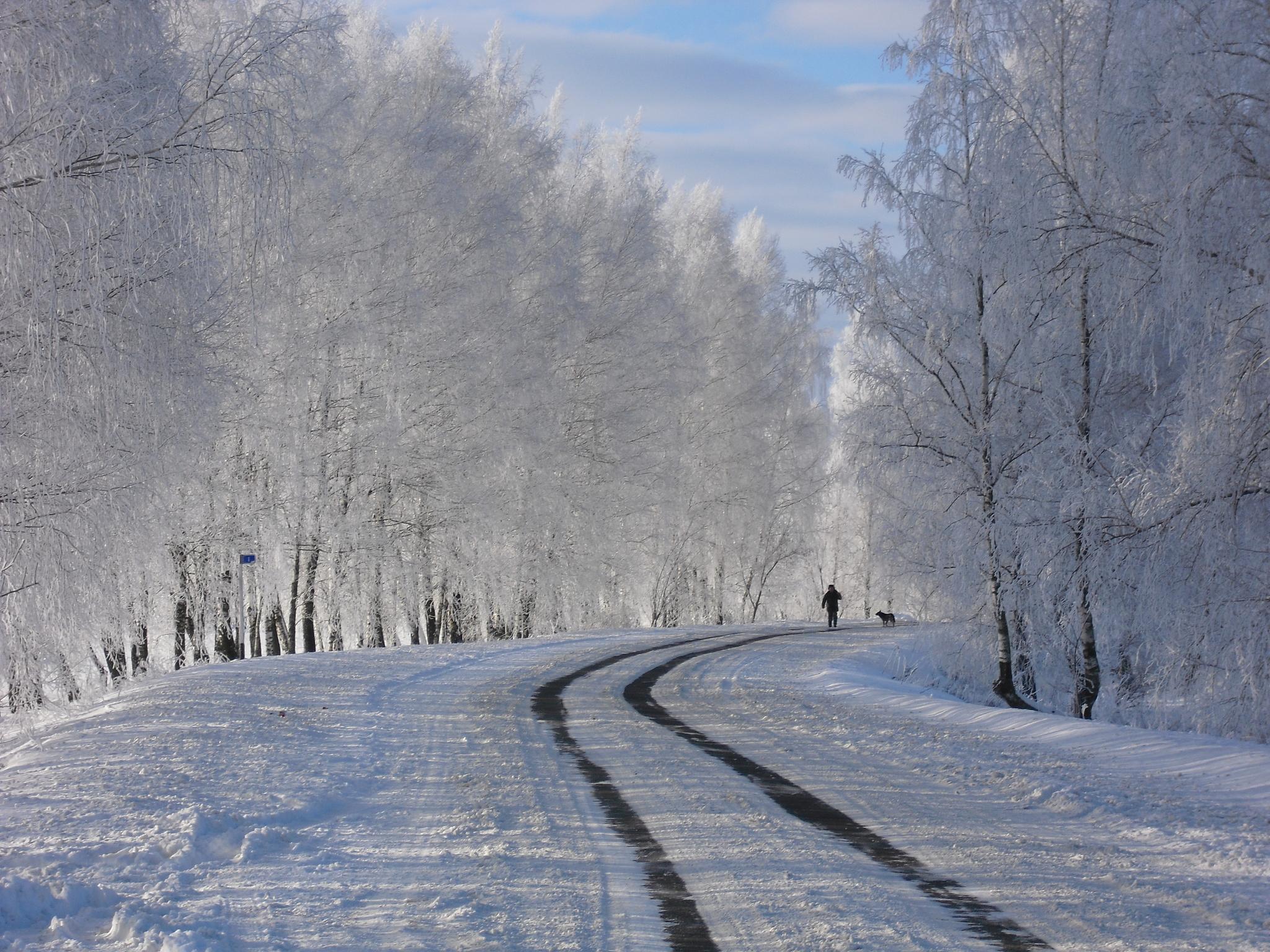 Снег Зима Январь - Бесплатное фото на Pixabay - Pixabay