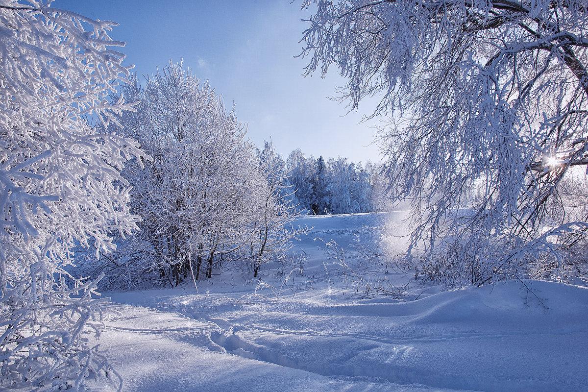 холодный день русская зима полярная жизнь январь сезон панорамный Фото Фон  И картинка для бесплатной загрузки - Pngtree