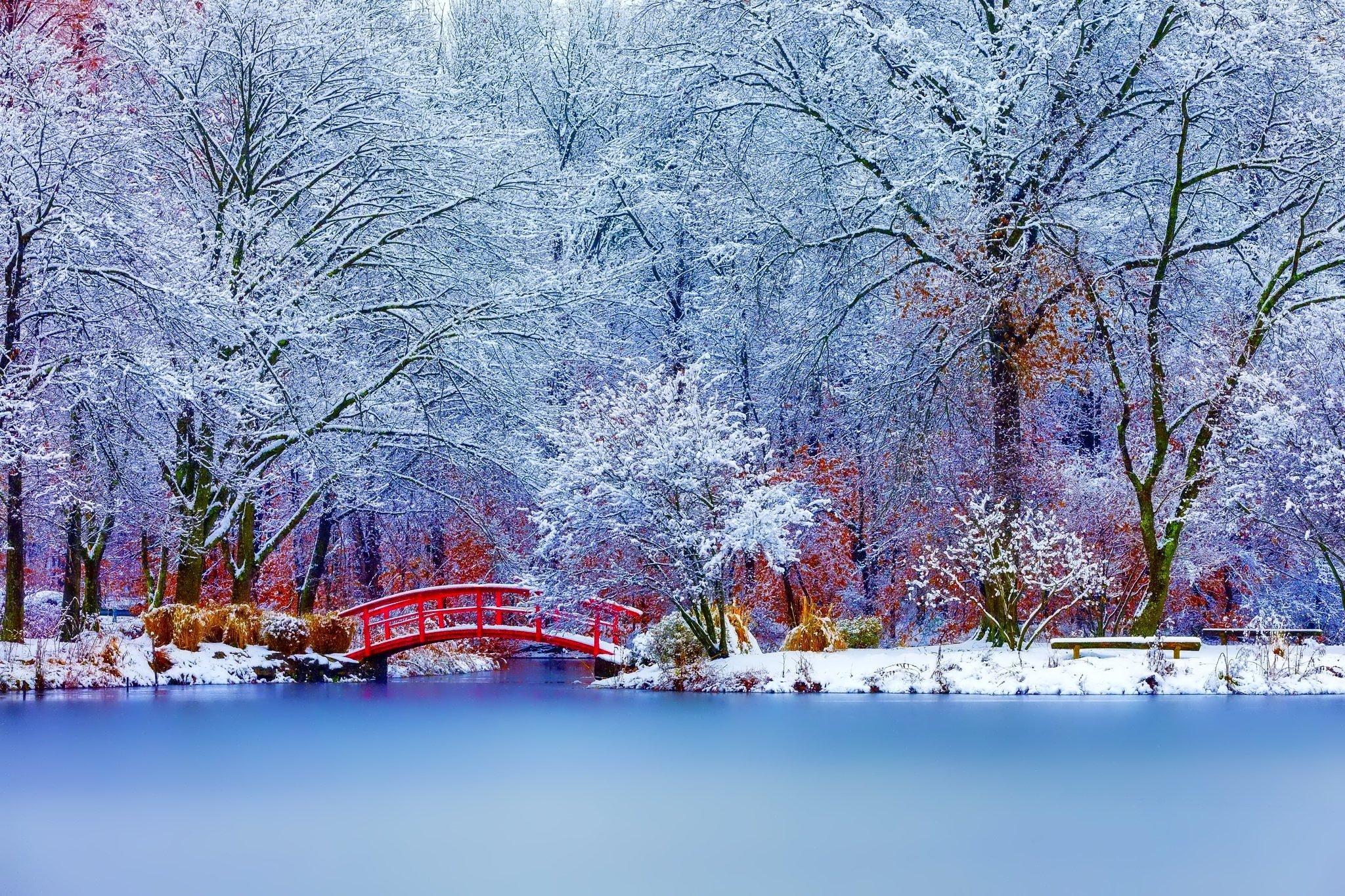 Зима в январе. / Зима в январе. / Фотография на PhotoGeek.ru
