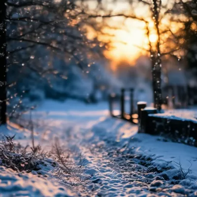 Фотография Зима идет, зиме -дорогу! №380798 - «Зимняя сказка» (01.03.2023 -  20:34)