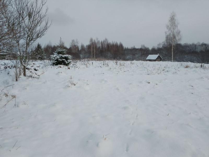 Зима идет, зиме дорогу! В Хабаровске выпал первый снег - AmurMedia.ru