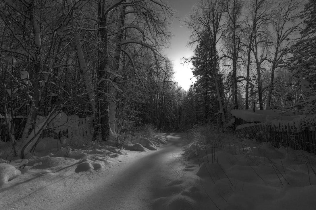 Зима картинки черно белые фотографии