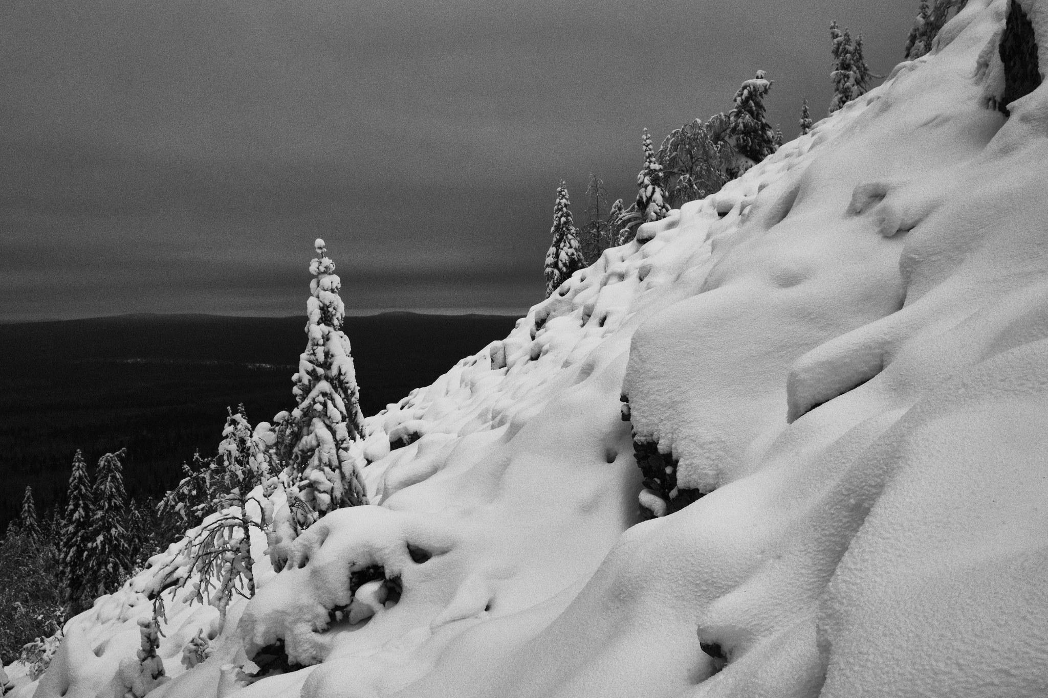 Черно-белая зима :: Юрий Береза – Социальная сеть ФотоКто