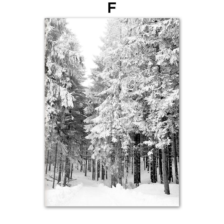 Черно-белые Заснеженные Зимние Деревья, Голубое Небо На Фоне Фотография,  картинки, изображения и сток-фотография без роялти. Image 67811202