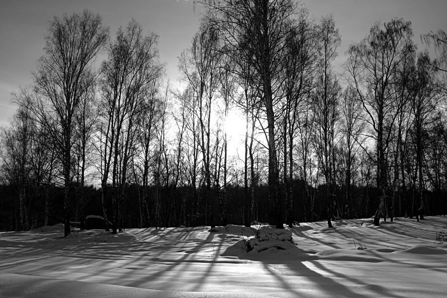Псков. Зимний пейзаж в черно-белых тонах