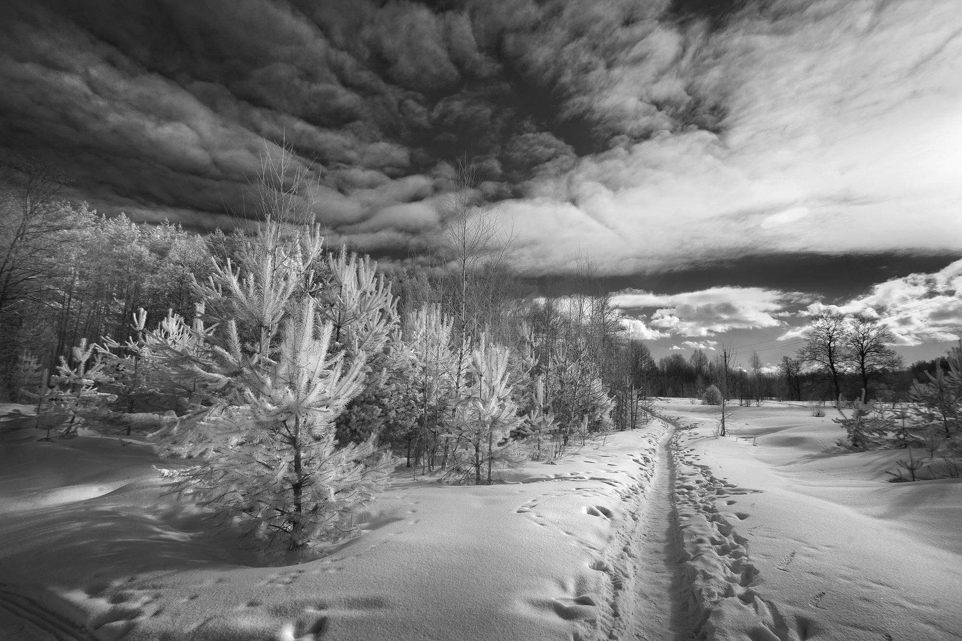 Чёрно белая зима - фото и картинки: 43 штук