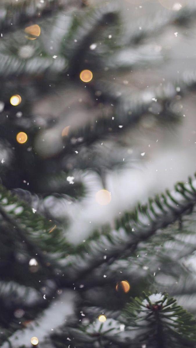 Winter ❄️ Wallpaper | Зимние картинки, Рождественские обои, Рождественские  пейзажи