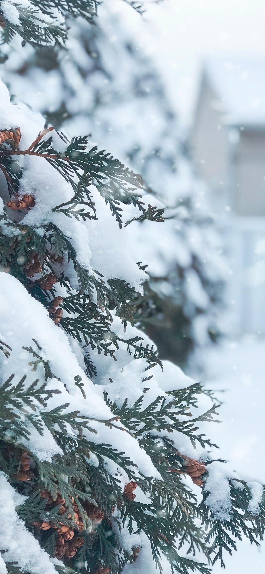 Обои Новый год, Рождество, зима, снег, ios для iPhone X / XS бесплатно,  заставка 1125x2436 - скачать картинки и фото