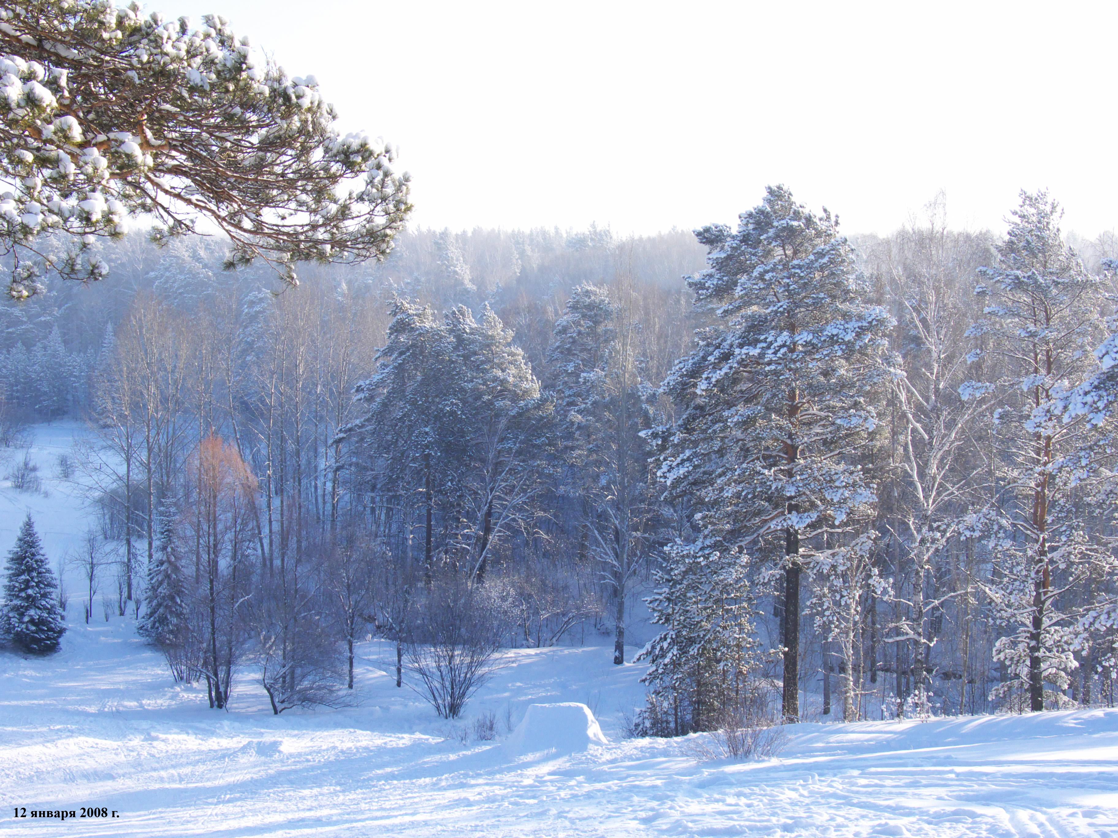 Красивые зимние картинки на аву (35 фото) 🔥 Прикольные картинки и юмор