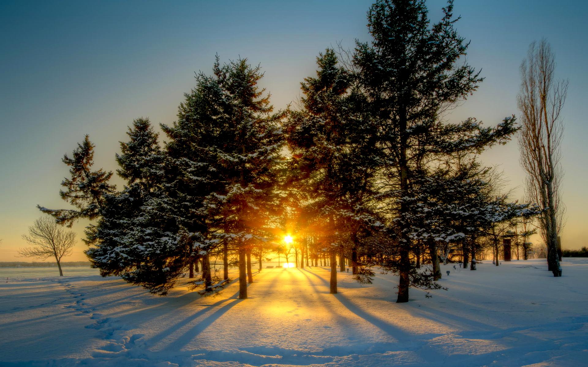 Картинка Зима Природа Времена года