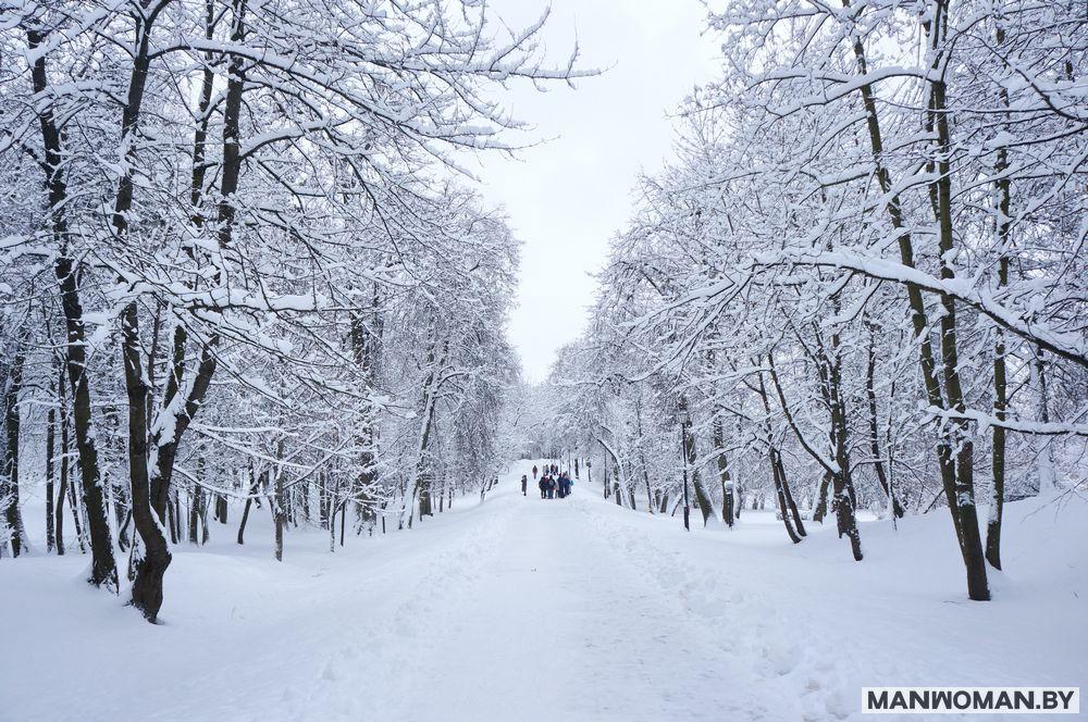 Зимний период: синоптик рассказала, к какой погоде готовиться украинцам —  1+1, новости ТСН — Украина