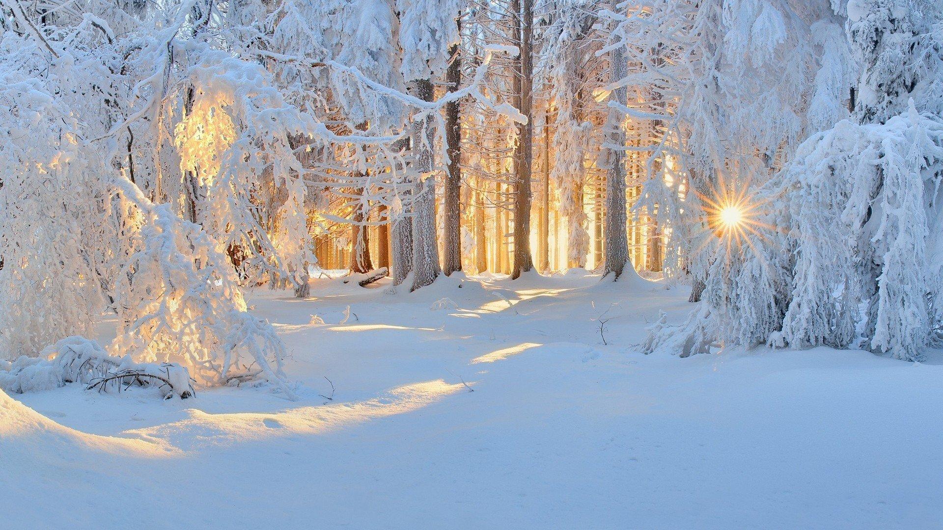 Зима-красавица белоснежная зима, …» — создано в Шедевруме