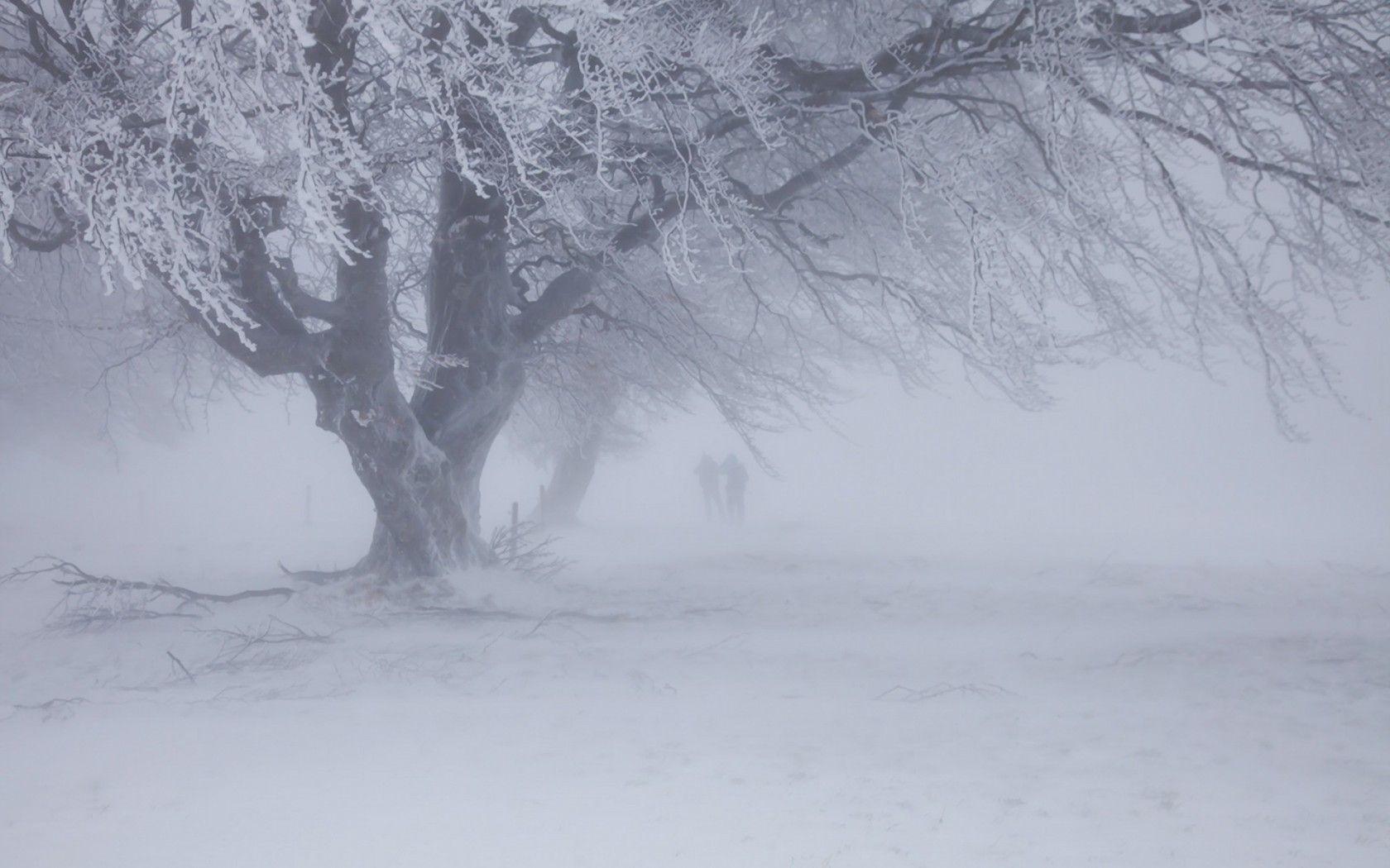 Зима метель картинки фотографии