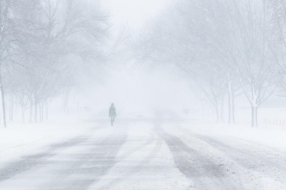 Метель Снег Зима - Бесплатное фото на Pixabay - Pixabay