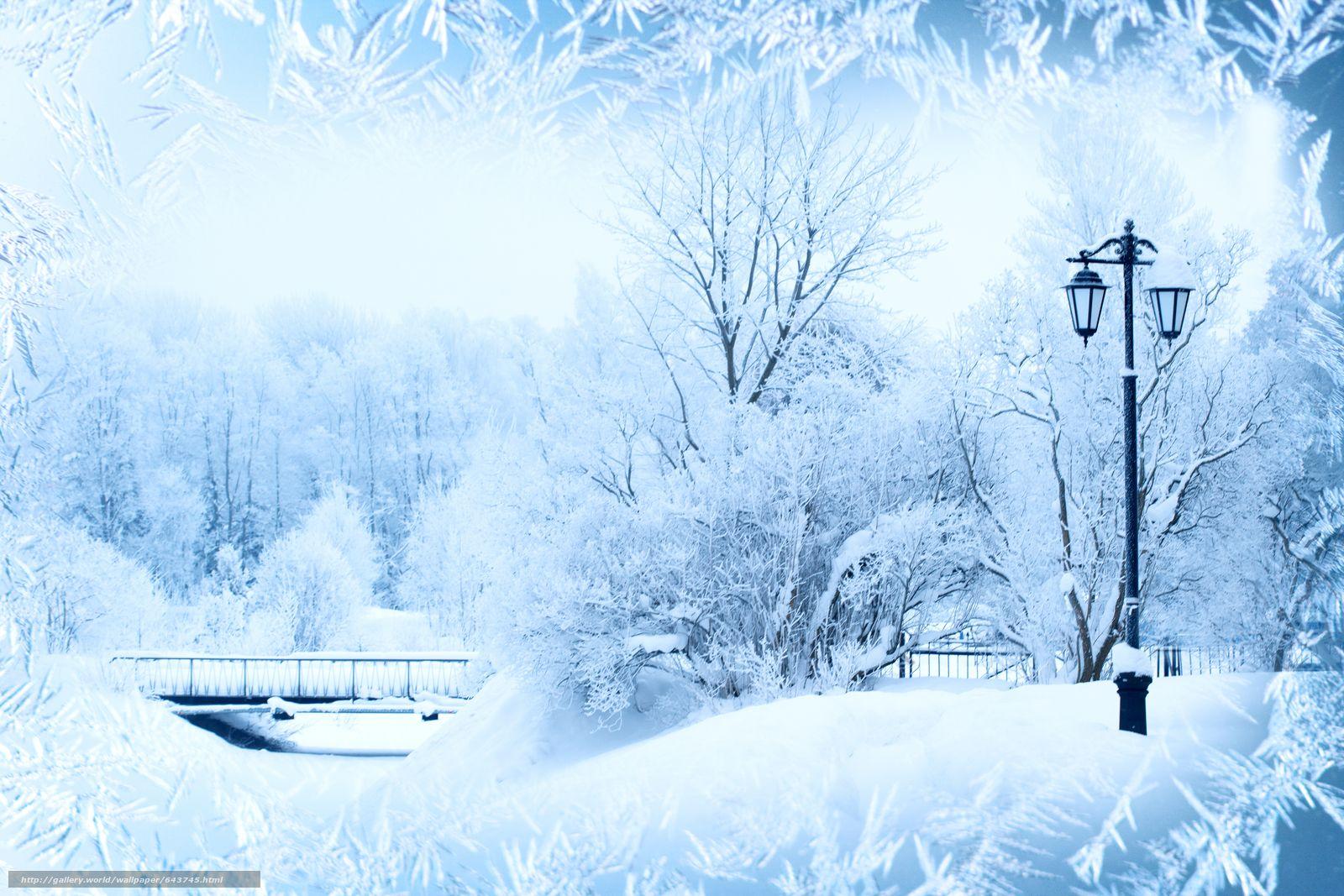 Скачать обои зима, мороз, узоры, деревья бесплатно для рабочего стола в  разрешении 5616x3744 — картинка … | Winter background, Winter backdrops,  Winter landscape