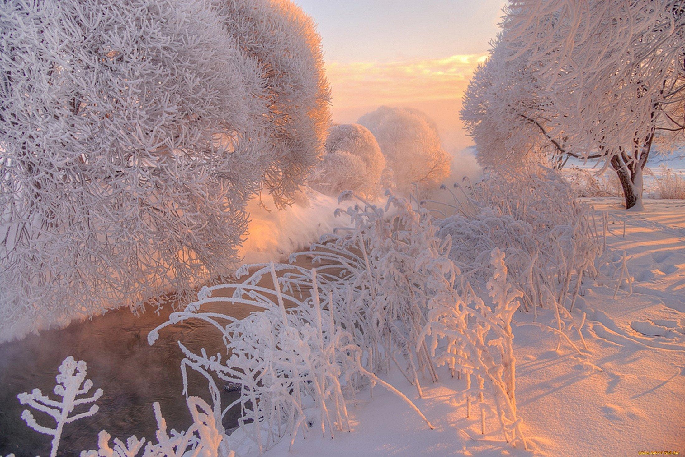 Зима Мороз красота (57 фото) - 57 фото