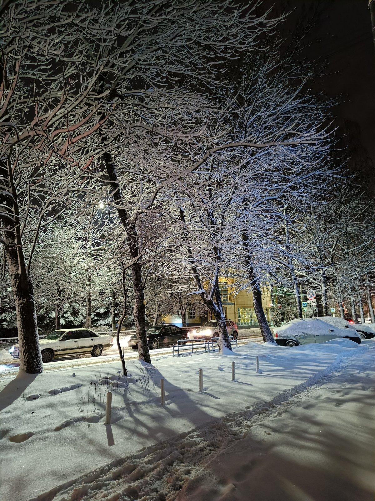 Календарная зима в столичном регионе началась с 20-градусных морозов -  Газета.Ru | Новости