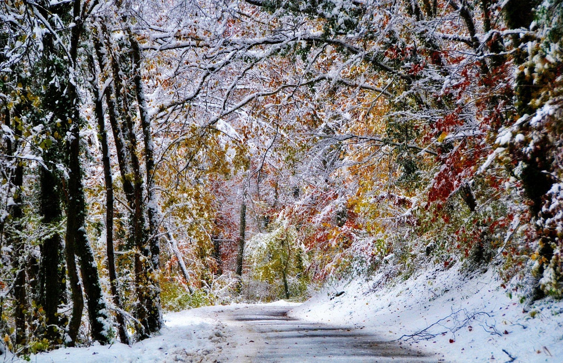 Зима — Википедия