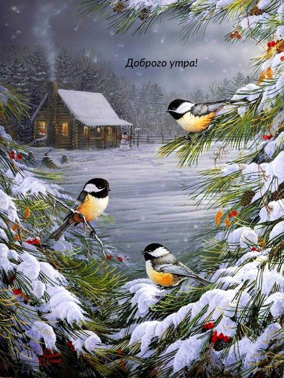 Открытка «Вид на Исаакиевский собор. Зима» - купить в интернет-магазине XL  Media по цене 135 руб.