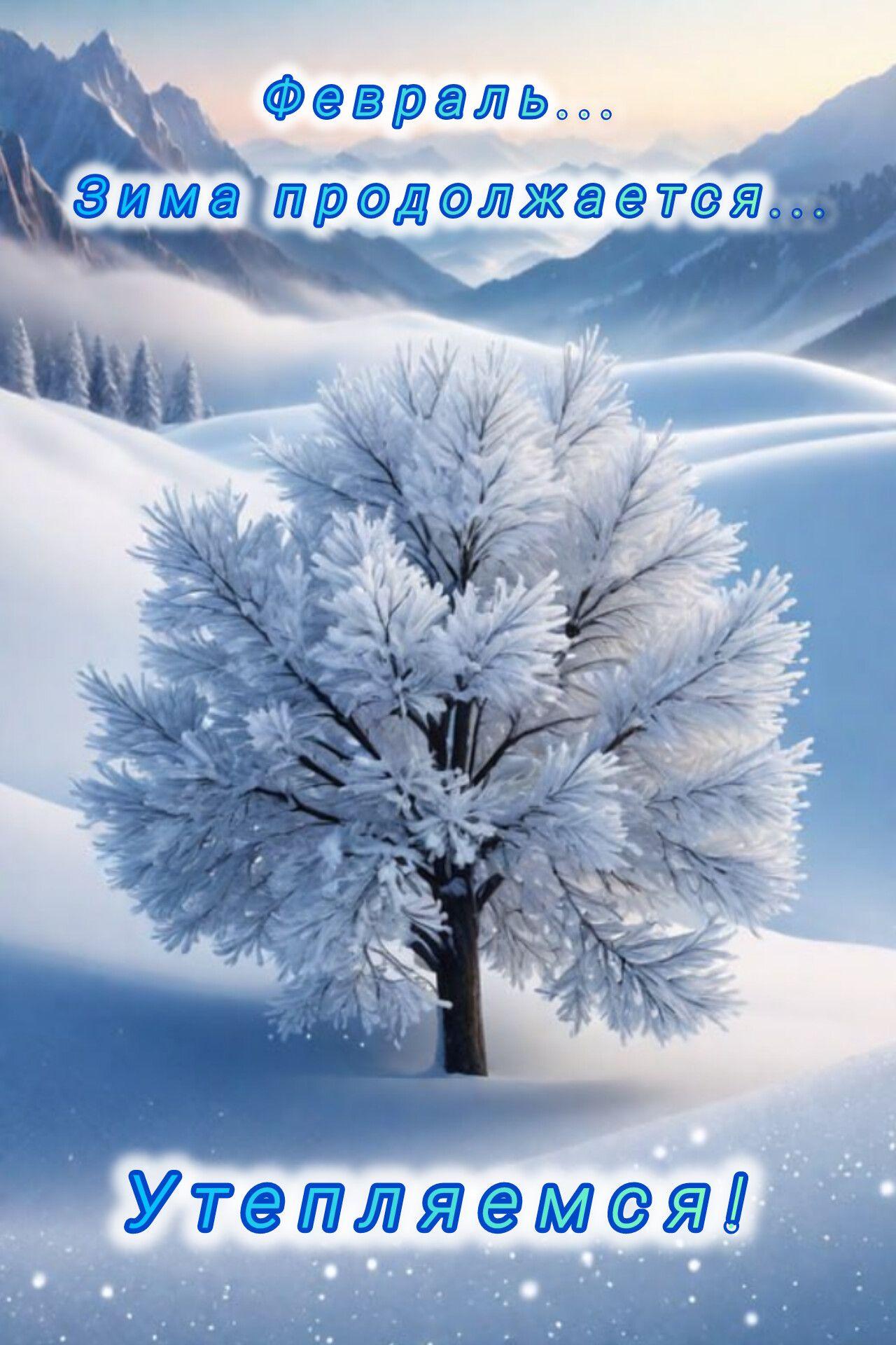 картинки : человек, зима, люди, Лед, Погода, Арктический, время года, идет  снег, Лыжи, метель, Замораживание, Атмосферное явление, Ветровая волна,  зимняя буря 3839x2843 - - 1237341 - красивые картинки - PxHere