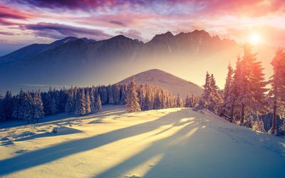 Картинки зима, снег, горы, солнце, рассвет, ели - обои 1280x1024, картинка  №158574 | Nature images, Nature photos, Beautiful nature