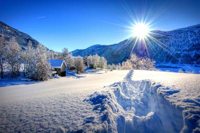 Зимний рассвет Изображения – скачать бесплатно на Freepik